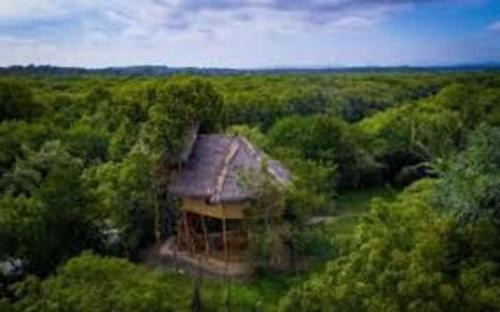 Tangalle Cabin | Relaxing Mermaid Cabana and Tree Houses for Families