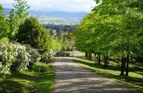 Merrijig House | Top-Rated Merrimont Downs: Family-Friendly & Accessible Stay
