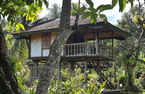 Sukasada House | Pet-Friendly Mesari Cottage Guest House - Rated 10/10!