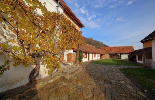 Bunesti Bed & Breakfast | Discover Mesendorf Gasthaus: Top-Rated Family Retreat