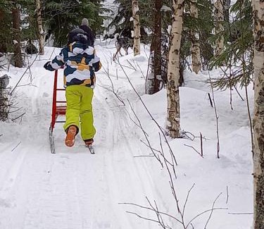 Juuka Ski Chalet | Pet and Eco-Friendly Getaway at Metsälä - 9/10 Rated