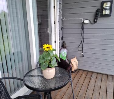 Lenvik House | Discover Mettes Holiday Home: Oceanfront Retreat, 9.8 Rated