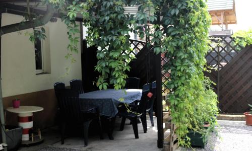 Niederbronn-les-Bains Apartment | Welcoming Meublé Celtic: Pet-Friendly with Breakfast Included