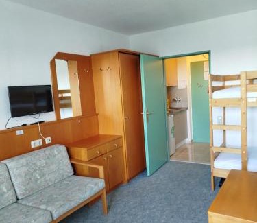 Mitterfirmiansreut Apartment | Pet-Friendly Mezonet Almberg Apartments for Family Fun