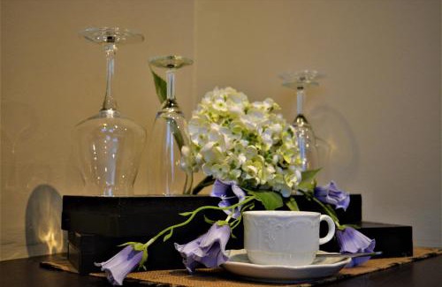 Historisch centrum Hotel | Pet-Friendly Hotel Mezonvin: Rated 9/10 for Family Comfort
