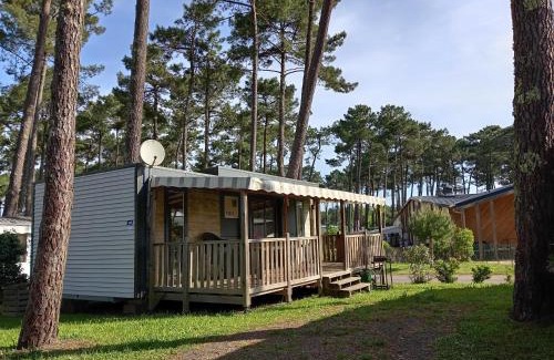 Saint-Julien-en-Born House | Pet-Friendly Les Dunes de Contis Mobile Home with Pool