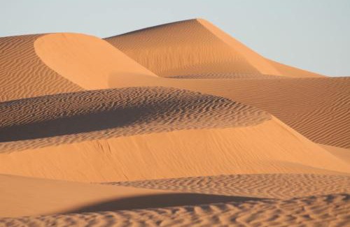 M'Hamid El Ghizlane Other | Pet-Friendly Retreat at Mhamid Sahara Golden Dunes Camp