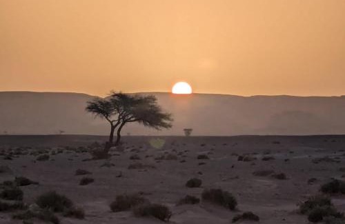 M'Hamid El Ghizlane Other | Pet-Friendly Mhamid Sahara Camp with Ocean View - 9.8 Rated
