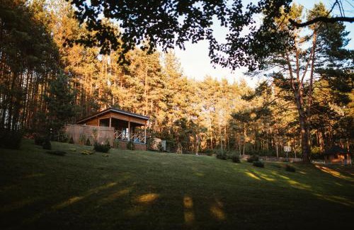 Alytus county House | Discover Comfort at Miško kraštas: Pet-Friendly Retreat