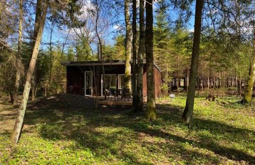 Kurtuvenai House | Guest Rated: 9.8 - Miško sielos namelis with Child-Friendly Amenities