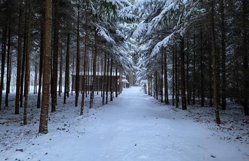 Kurtuvenai House | Guest Rated: 9.8 - Miško sielos namelis with Child-Friendly Amenities