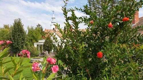 Koveskal Bed & Breakfast | Guest Rated 10/10: Mi a Kő Vendégház with Breakfast