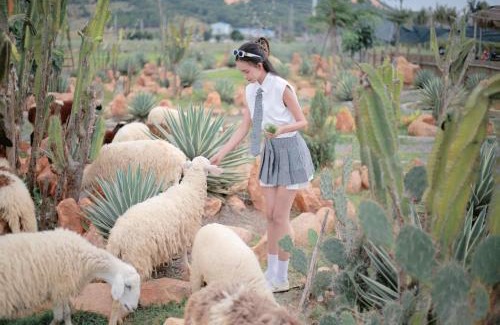 Ho Tram Other | Mianfarm Bàu trắng glamping