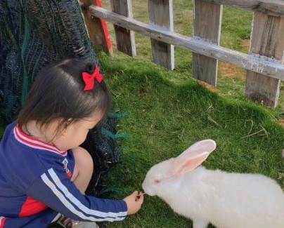 Ho Tram Other | Mianfarm Bàu trắng glamping