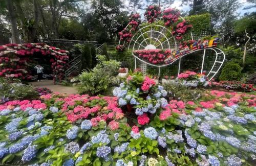 Sanyi House | Family-Friendly Stay at Miaoli Sanyi Bo Wu Guan Homestay