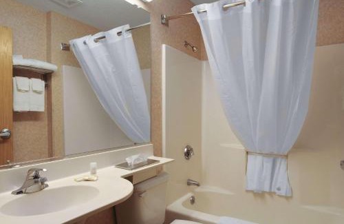 Baldwinsville Hotel | Pet-Friendly Stay at Microtel Inn & Suites Syracuse