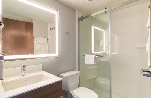 Columbia Hotel | Comfortable Microtel Inn & Suites near Fort Jackson, SC