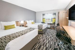 Lubbock Hotel | Comfortable Stay at Microtel Inn & Suites by Wyndham Lubbock