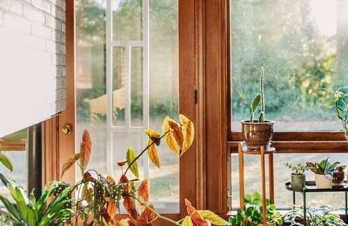 Wade Hampton House | Discover Mid Century Modern Gem 3 Miles from Downtown Greenville