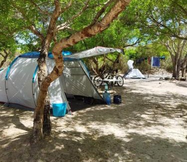 Watamu Bed & Breakfast | Discover Mida Creek Eco Camp: A Pet-Friendly Paradise