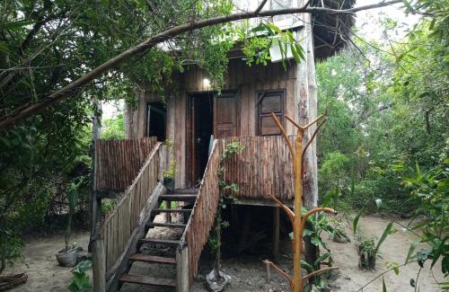 Watamu Bed & Breakfast | Discover Mida Creek Eco Camp: A Pet-Friendly Paradise