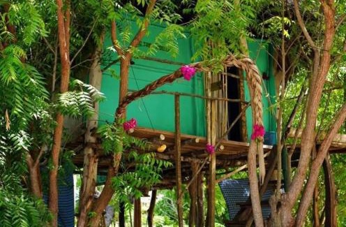 Gede Other | Discover Mida Creek Nature Camp: Pet-Friendly Retreat