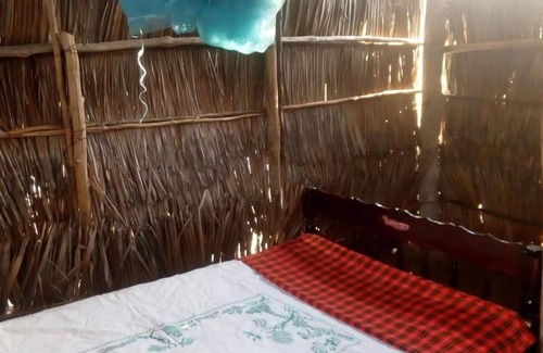 Gede Other | Explore Mida Creek Nature Camp: Family-Friendly Retreat