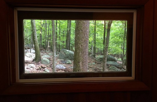 New Paltz House | Exceptional Midcentury Modern Cabin in the Woods Near NYC