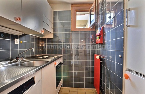 Grimentz Apartment | Cozy Flat for 5 with Kitchen and Fireplace Amenities