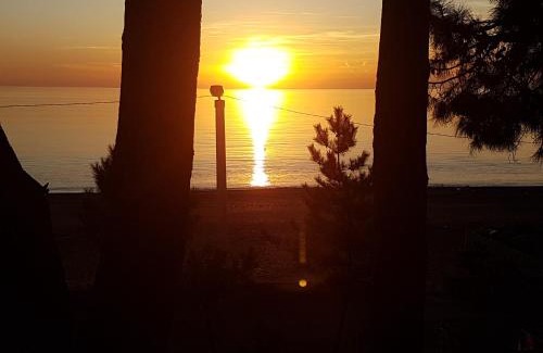 Kobuleti House | Discover MIDIA Guest House: Oceanfront Comfort Awaits