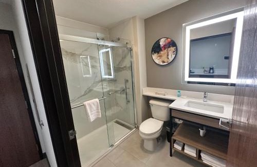 Greenville - Spartanburg Hotel | Pet-Friendly Midtown Suites in Greenville with Breakfast