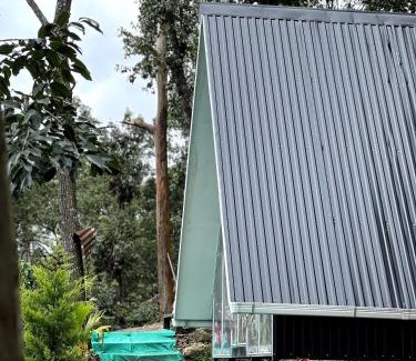 Suryanelli Other | midwaytrip
