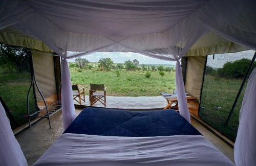 Serengeti National Park Other | Migration UnderCanvas