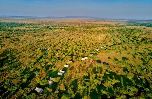 Serengeti National Park Other | Migration UnderCanvas