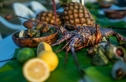 Baisha House | Discover Migrator Intertidal Homestay - Family Friendly Escape