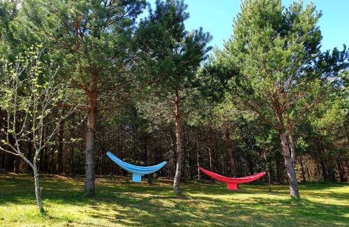 Varena Apartment | Experience Miguičionių Sodyba: 4-Star Oceanfront Escape