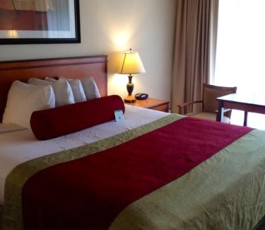 North Hollywood Hotel | Family-Friendly Stay at Mikado Hotel with Pool & Hot Tub