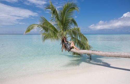 Thimarafushi House | Relax at Mikado Surf Camp - Oceanfront Pet-Friendly Retreat