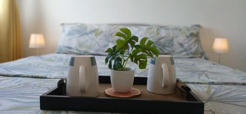 Dumaguete Apartment | Mike's Place at Marina Spatial