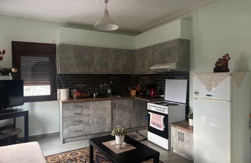 Kastraki Apartment | Child-Friendly Mikio House with Great Guest Review Score