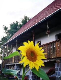 Praid House | Family-Friendly Miklós Lak with Pool & 9.9/10 Guest Rating