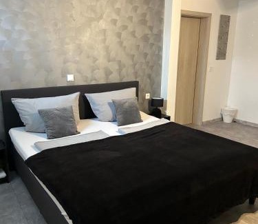 Klarenthal House | Pet-Friendly Mikroapartments Klarenthal with High Guest Ratings