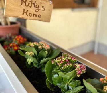 Leggiuno Apartment | Discover Miky’s Home: 9.2/10 Guest Rated & Family Friendly