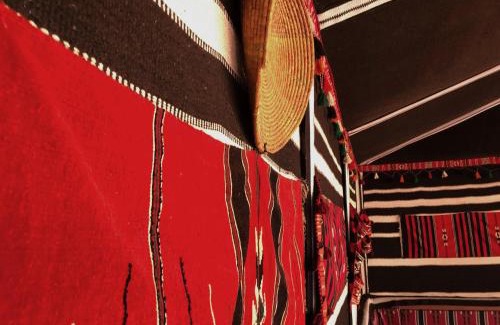 Wadi Rum Cabin | Discover Milky Way Bedouin Camp: Pet Friendly & Family Fun