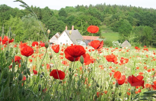 Assington Cottage | Mill Cottage - Your Private Valley Retreat in Nature