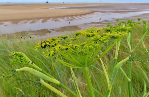 Cleethorpes House | Inviting Mill Cottage: Oceanfront 2-Bed Retreat in Cleethorpes