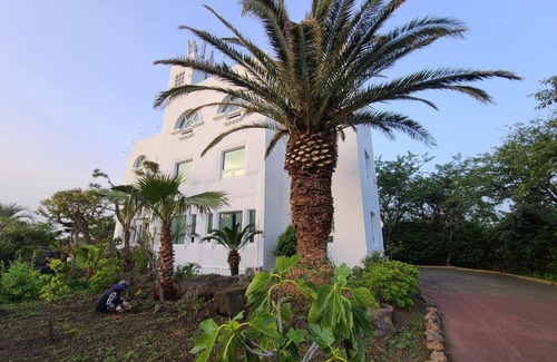 Aewol Hotel | Ocean View at Millenium Hotel: Family-Friendly Retreat