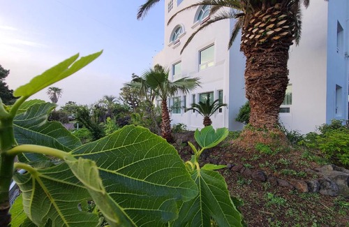 Aewol Hotel | Ocean View at Millenium Hotel: Family-Friendly Retreat
