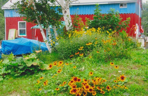 Bear River Cottage | Pet-Friendly Millyard Recreation Riverfront Cottages