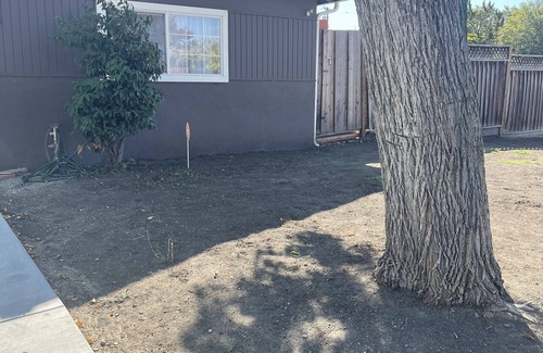 Milpitas Bed & Breakfast | Discover Comfort at Milpitas Homestays with Family-Friendly Amenities